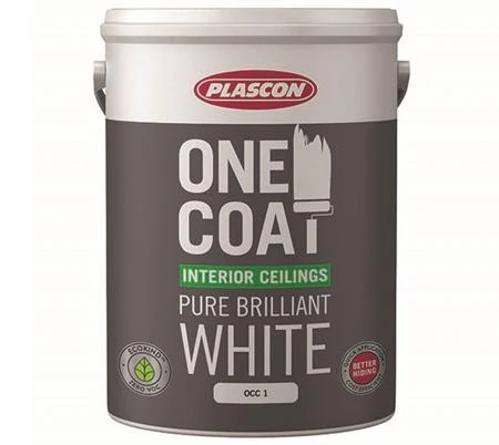 PLASCON ONE COAT WATER-BASED MATT CEILING  WHITE PAINT- Interior- 20 Litre