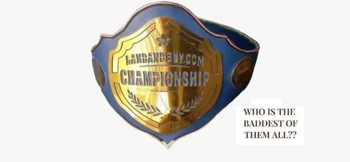 Safarifame- LandandBuy Boxing Championship Belt – Symbol of Ultimate Victory