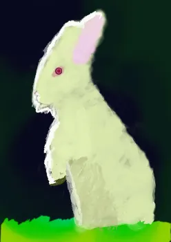 Rabbit