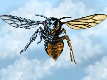 Vespa mandarinia