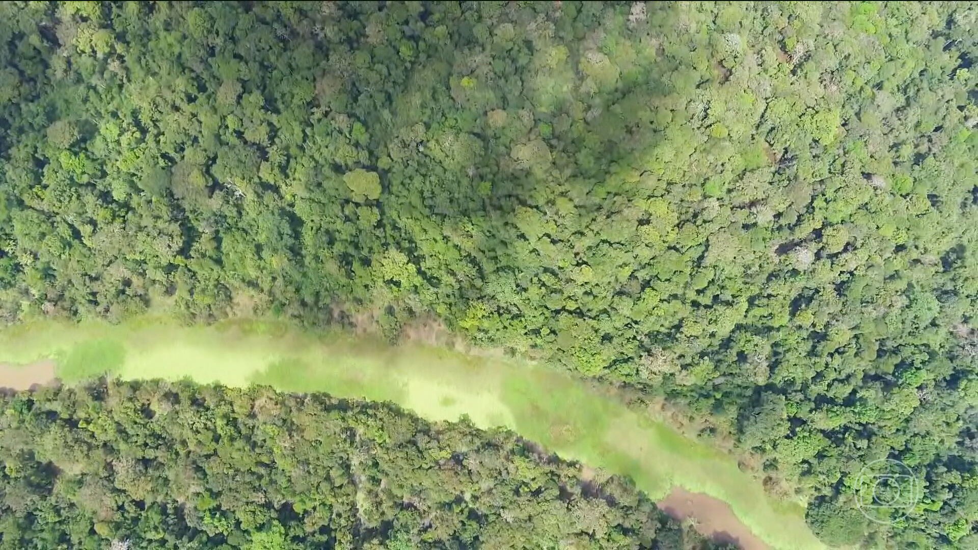 Alcolumbre confirma votação de vetos de Lula ao novo Licenciamento Ambiental, e governo tenta evitar derrota