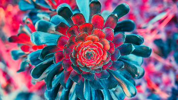 Alien Earth