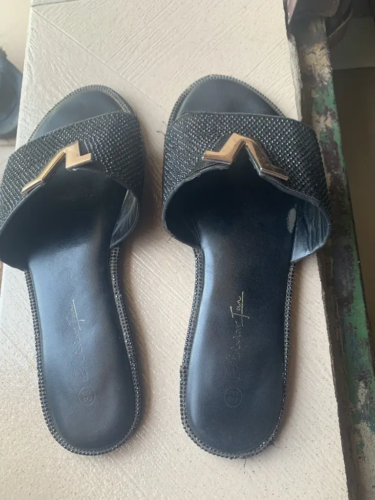 Black palm for ladies photo