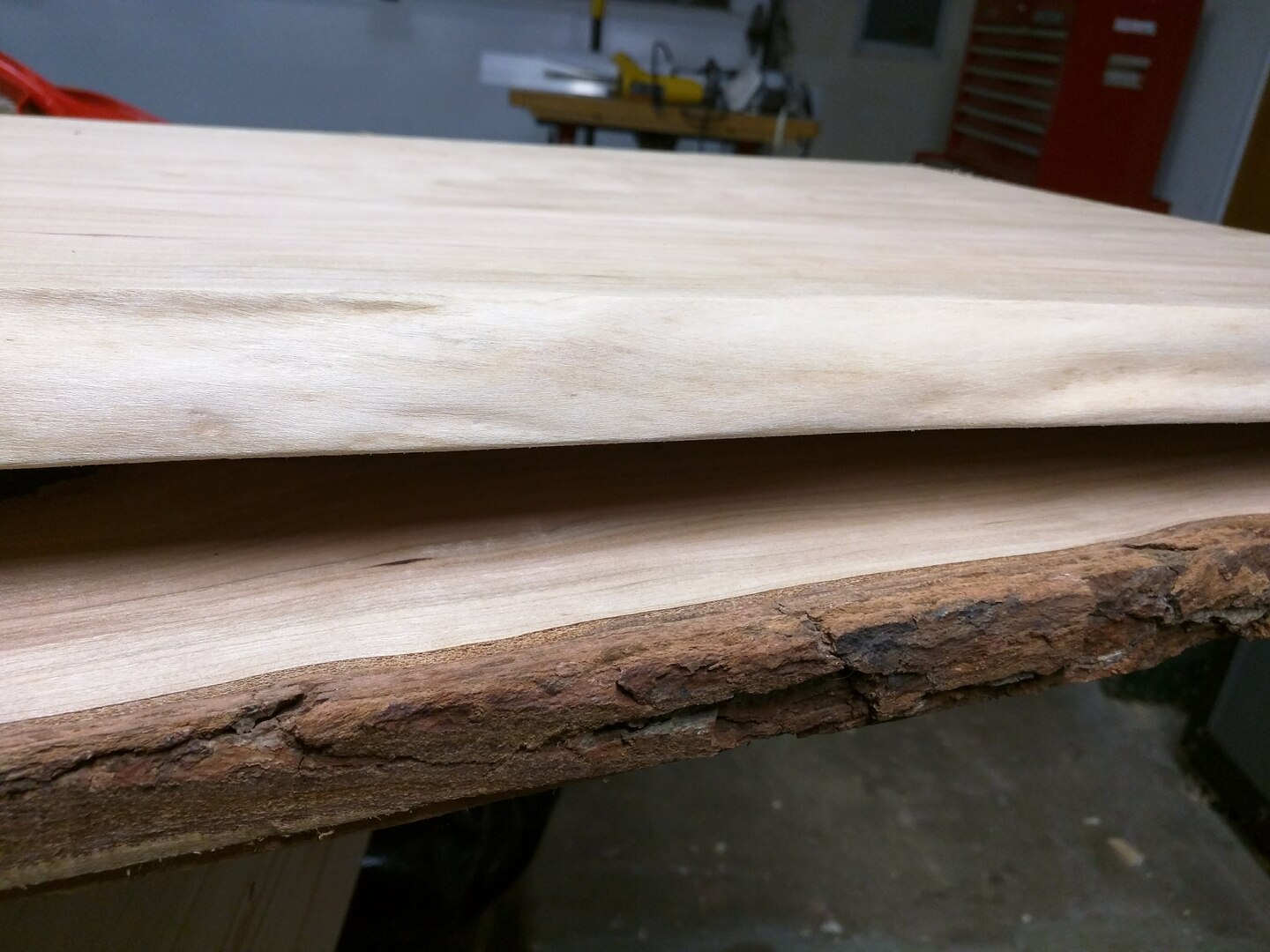 Figure 3. Live edge before (bottom) and after cleanup.