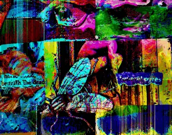 Death