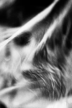 Dissolving