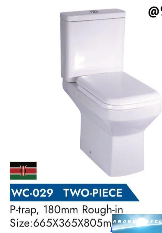 TF Toilet WC-029 2 Piece P-trap Rough -in  (Size 665x365x805)