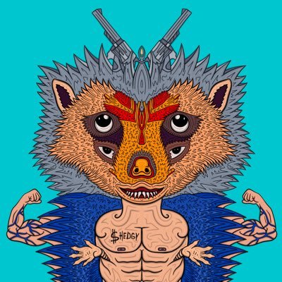 Hedgy Hogs