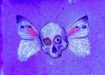 Death Butterfly