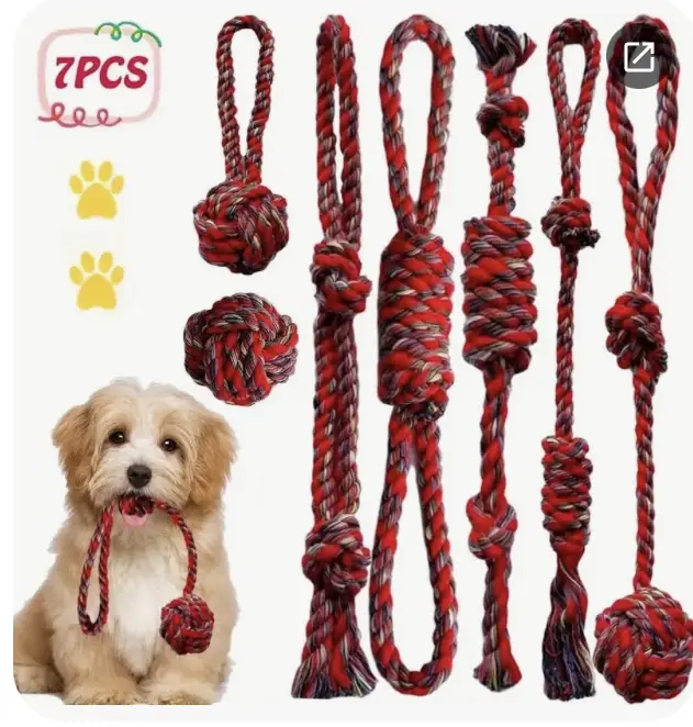 Knitted dog toy photo