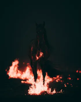 Fire Horse