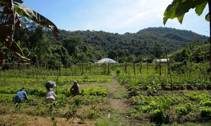 Câmara aprova prorrogação do prazo para georreferenciamento de imóveis rurais até 2030