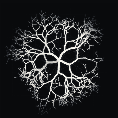 PHYSARUM