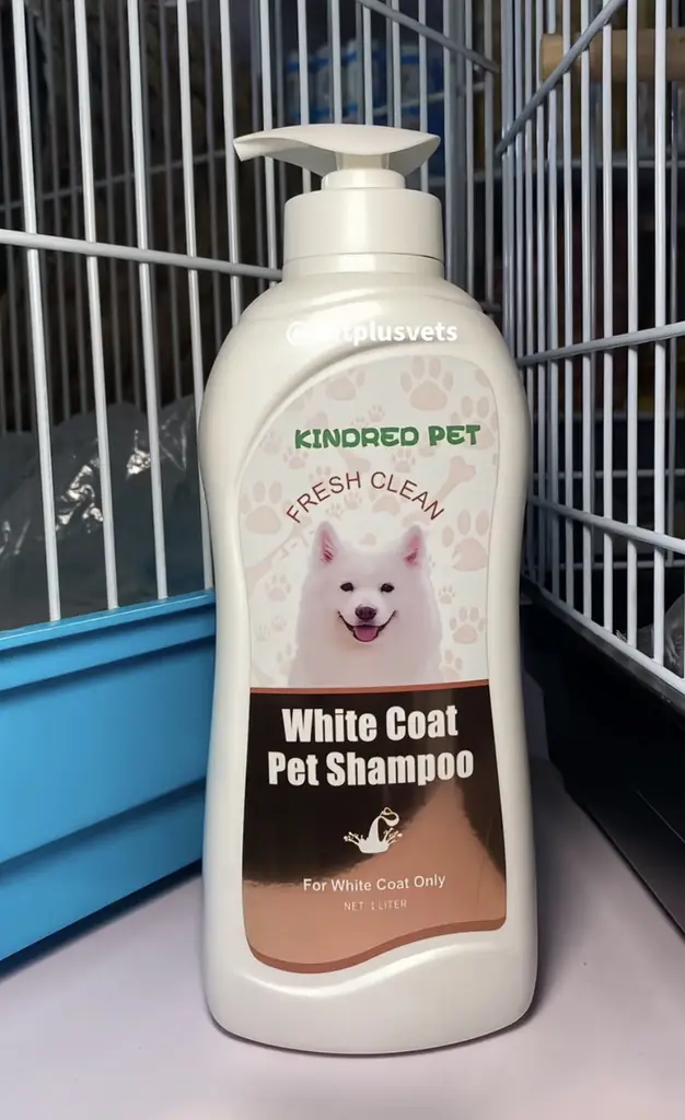 Dog shampoo photo