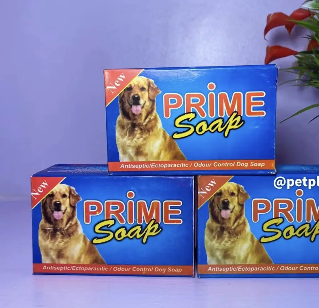 Bar Soap for dogs