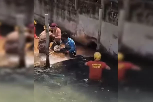 Qual é a localização do hotel onde sucuri gigante foi encontrada?