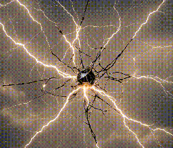 quamtum.eth Ethereum Name Service (ENS and .eth domain) PFP