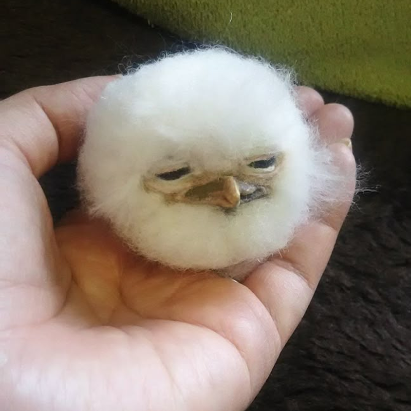 NEST