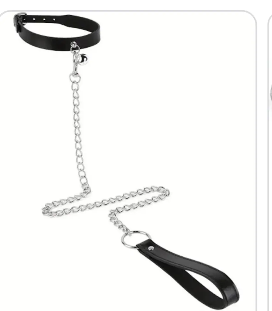 Custom laser chain for dogs photo