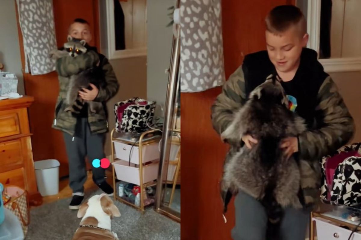 Mãe entra em pânico ao ver filho com animal selvagem em casa. Entenda