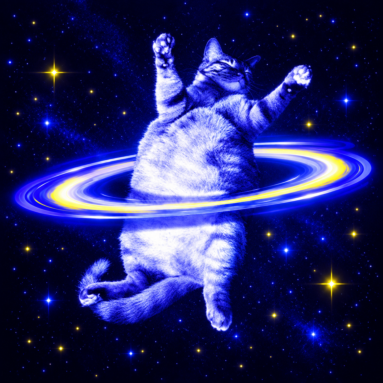Rotation Cat