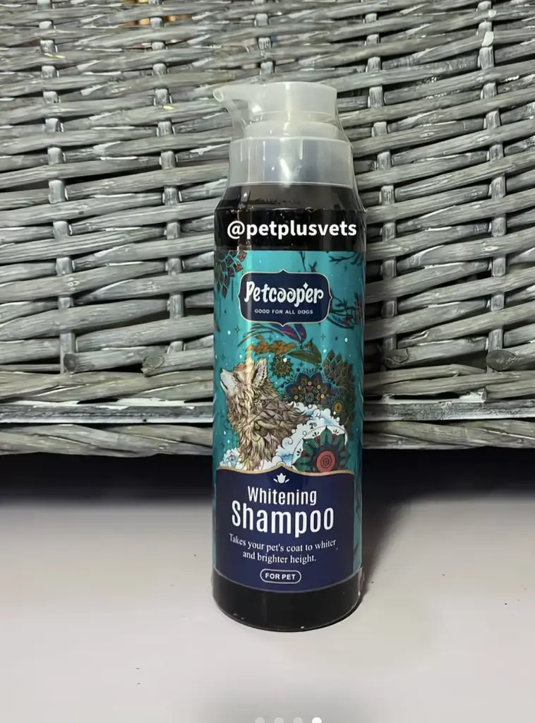 Dog shampoo photo