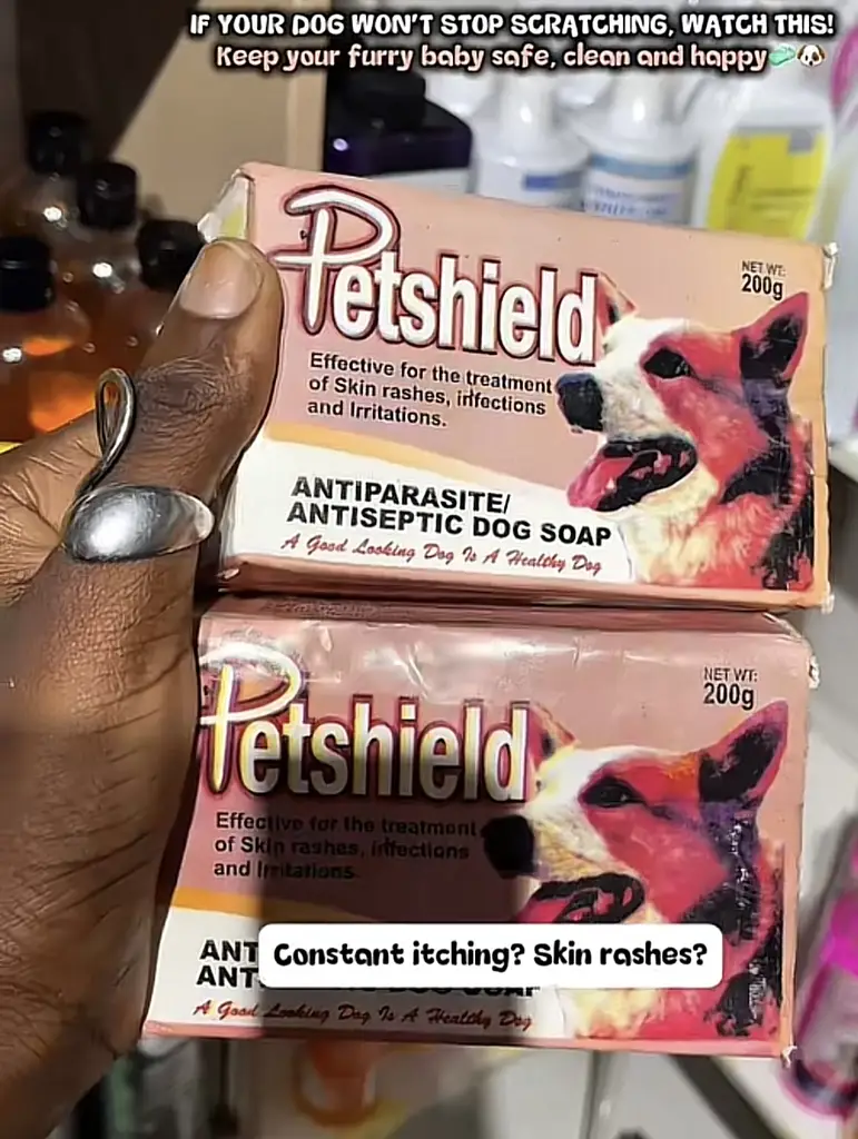 Antiseptic Dog treatment soap photo