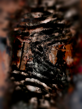 The Hollow