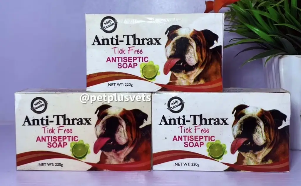 Dog Bath soap photo