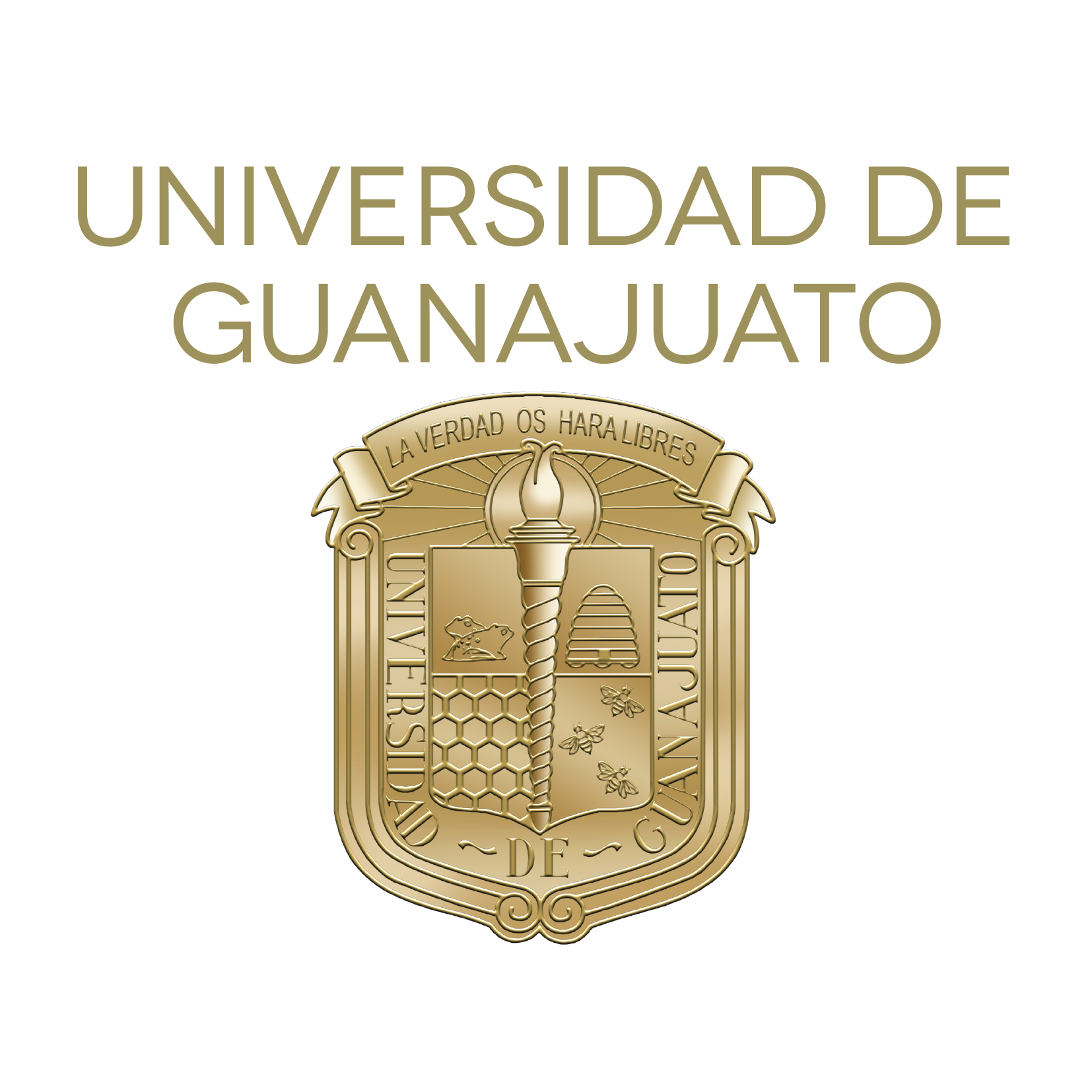 Logo de la entidad