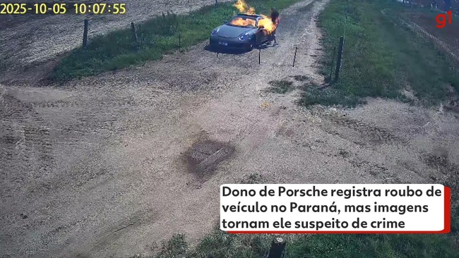 Gambá entra em Unidade de Saúde e deixa bagunça em Curitiba; VÍDEO