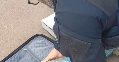 Jovem é presa em Pelotas ao transportar 20 quilos de maconha em ônibus