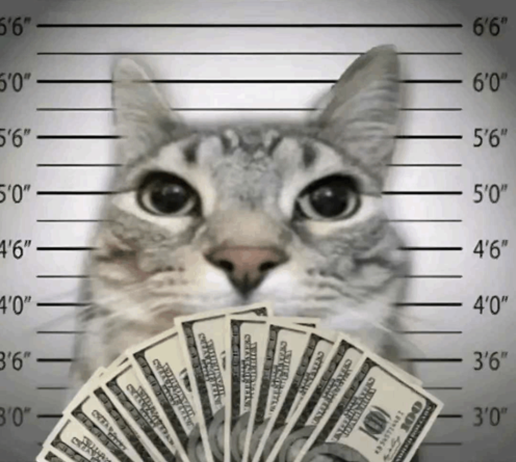 jailcat