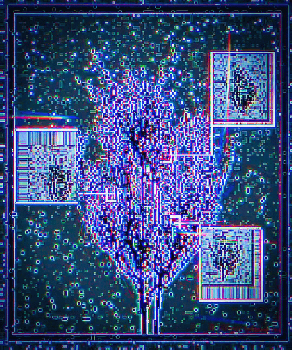 xenovaś