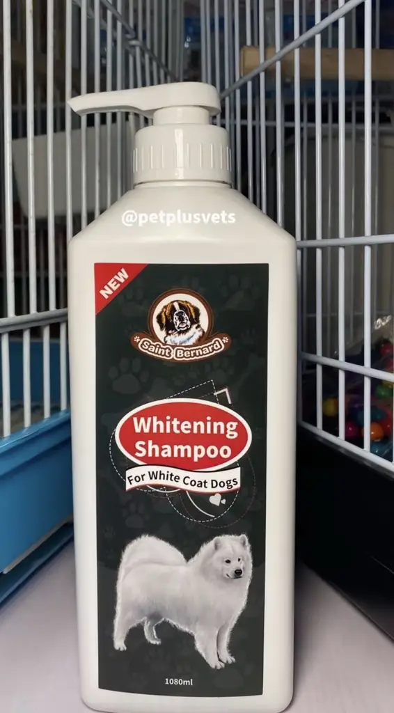 Whitening Dog Shampoo photo