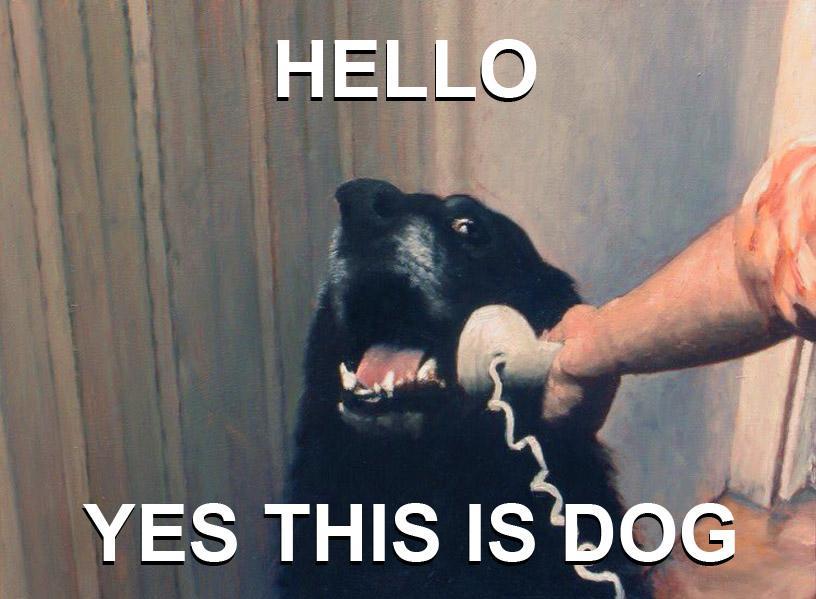 CALLDOG