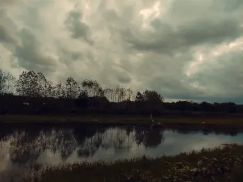 Earth, water, wind.