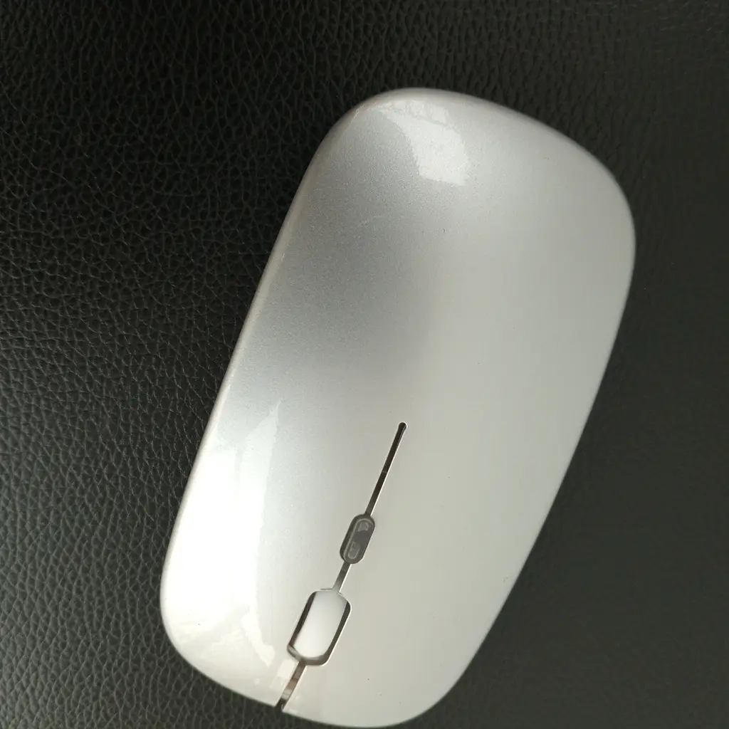 TEST ITEM- PLEASE IGNORE photo