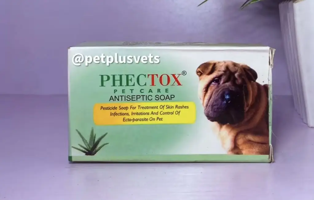 Bar Soap for dogs photo