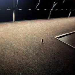 Mousie