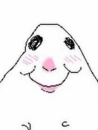 Hamster