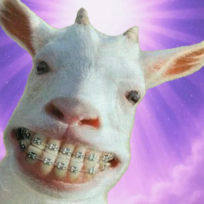 orthogoat