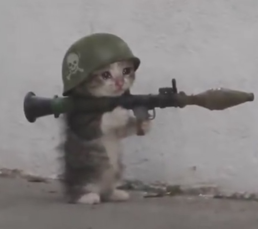 trenchcat