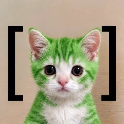 [cat]