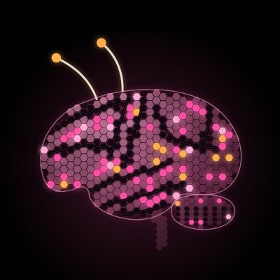 BEEBRAIN