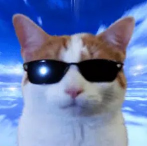 SPYCAT