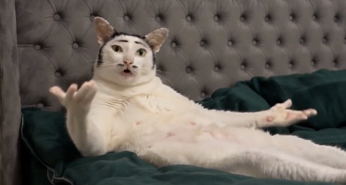 TOPCAT