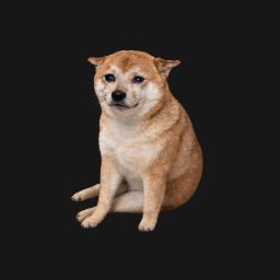 CASHDOG