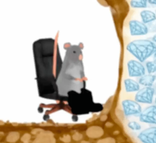 Rat