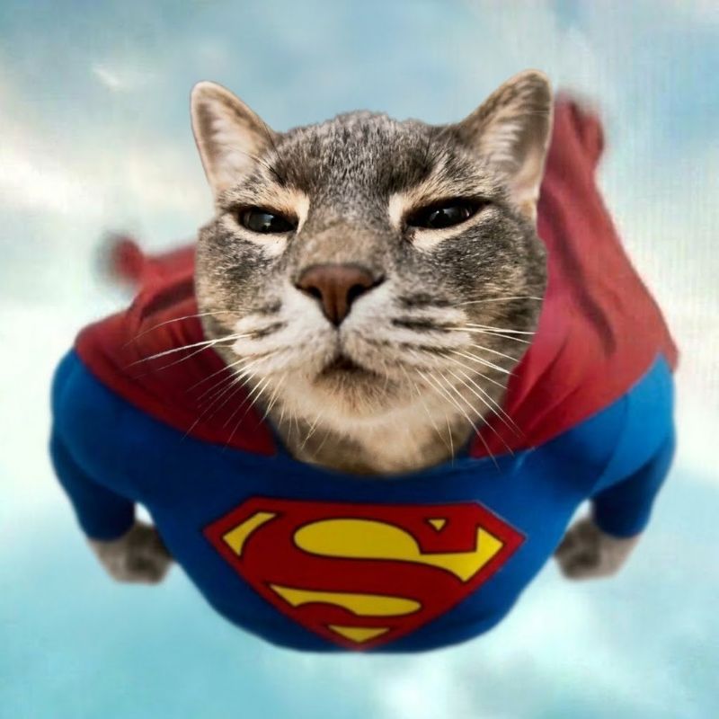 SUPERCAT